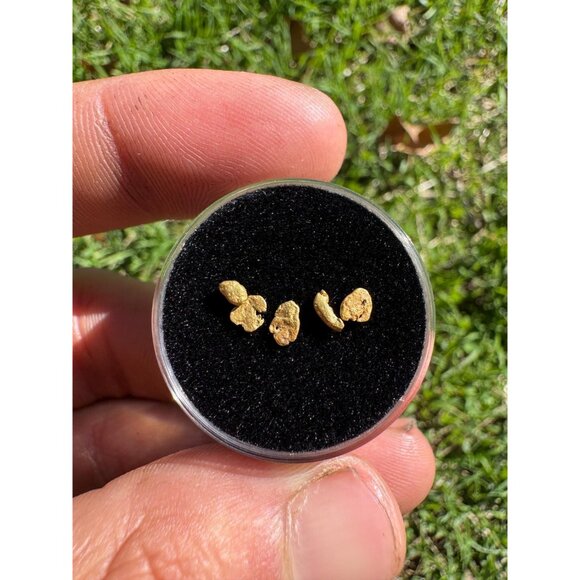 California Gold Nuggets in Display Case - 0.32 grams - Picture 4 of 7